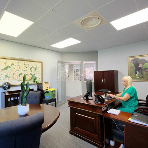 office space renovation and fit out construction project.
